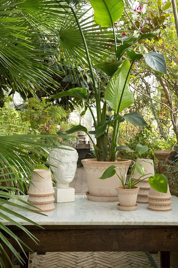 Maceta Københavner, 16 cm, rosa, con plato