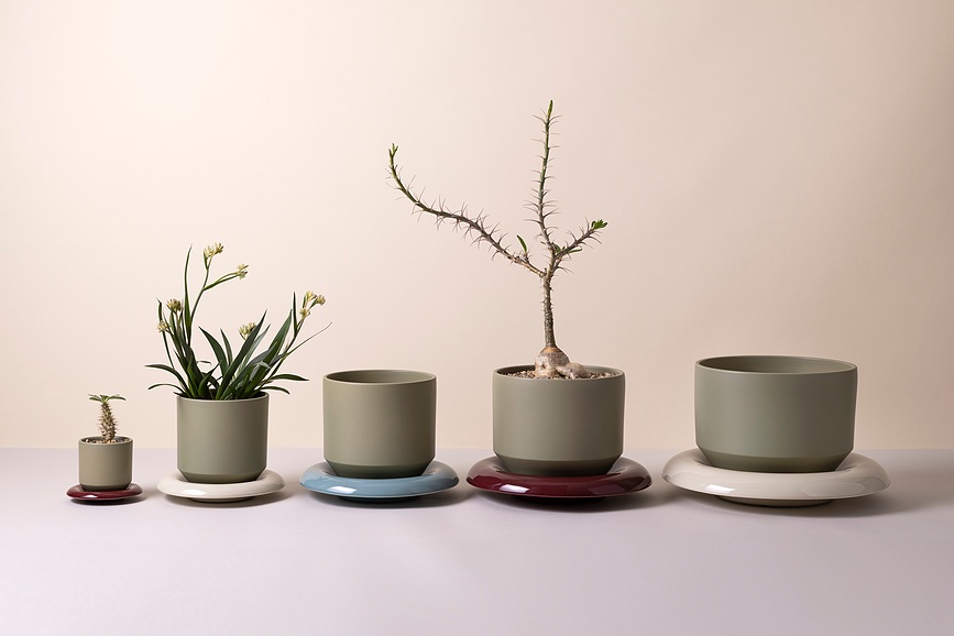 Maceta Lily 8 cm, verde salvia