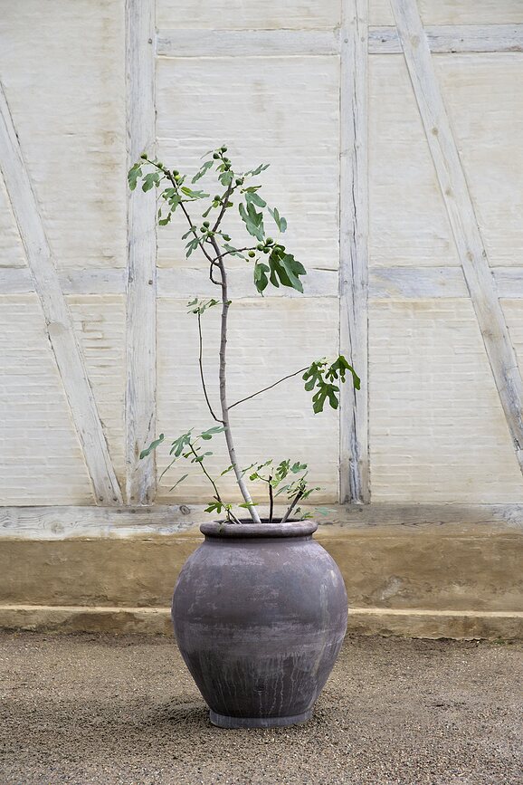 Maceta de jardín Olivia, 54 cm, gris