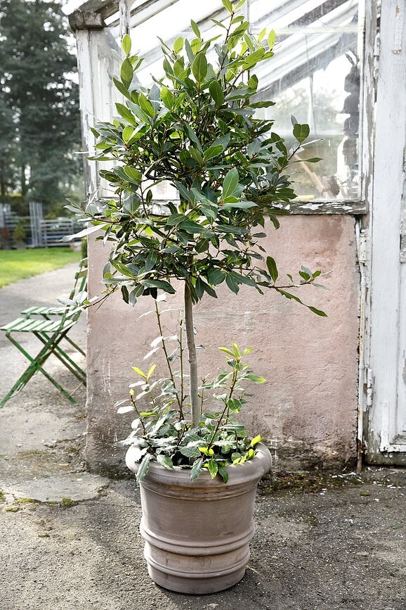 Maceta de jardín Lucca, 40 cm, gris