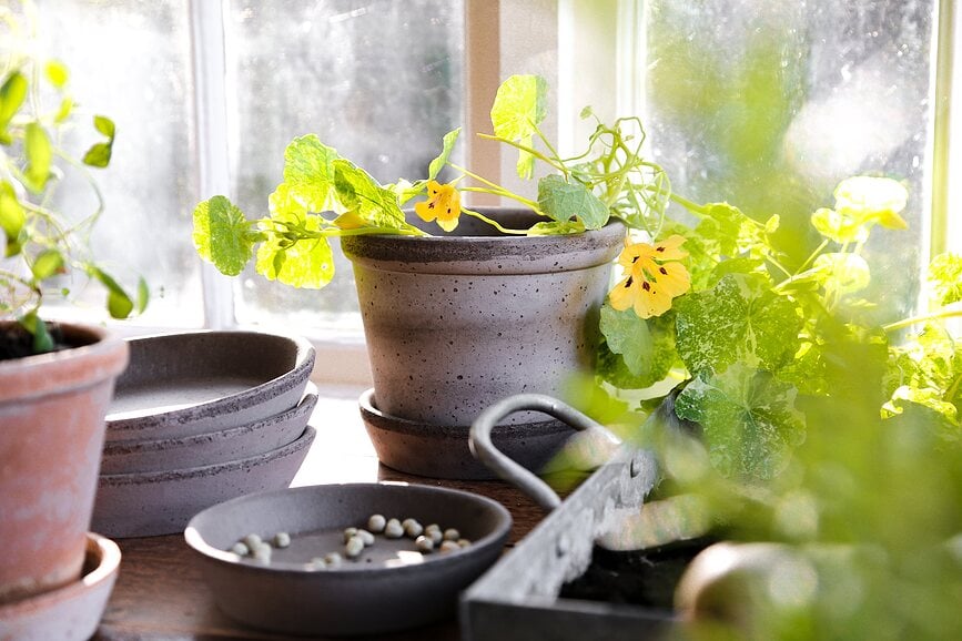 Maceta Parade, gris, 15 cm, con plato