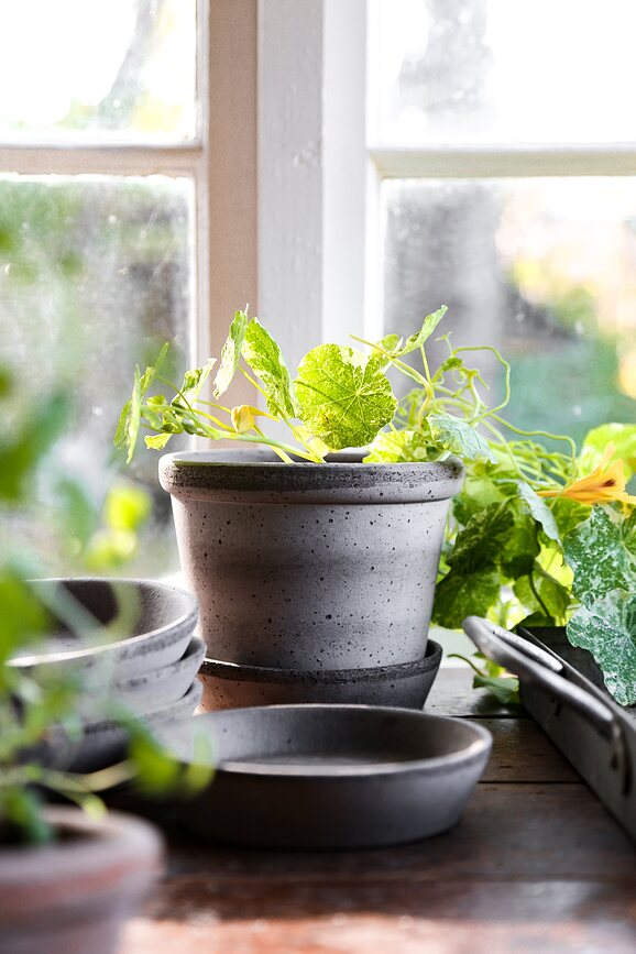 Maceta Parade, gris, 15 cm, con plato