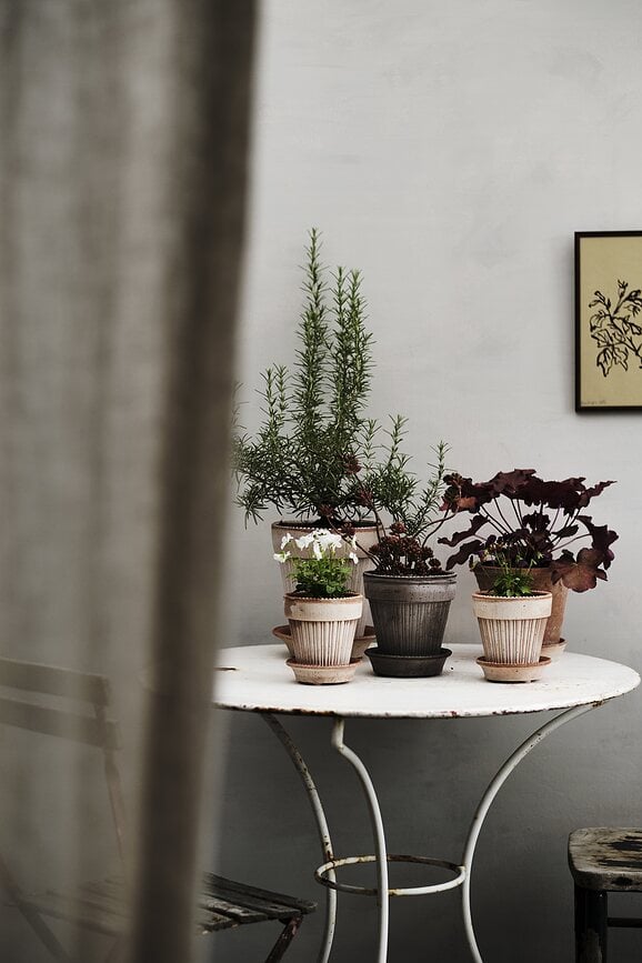 Maceta Simona, 12 cm, rosa, con plato