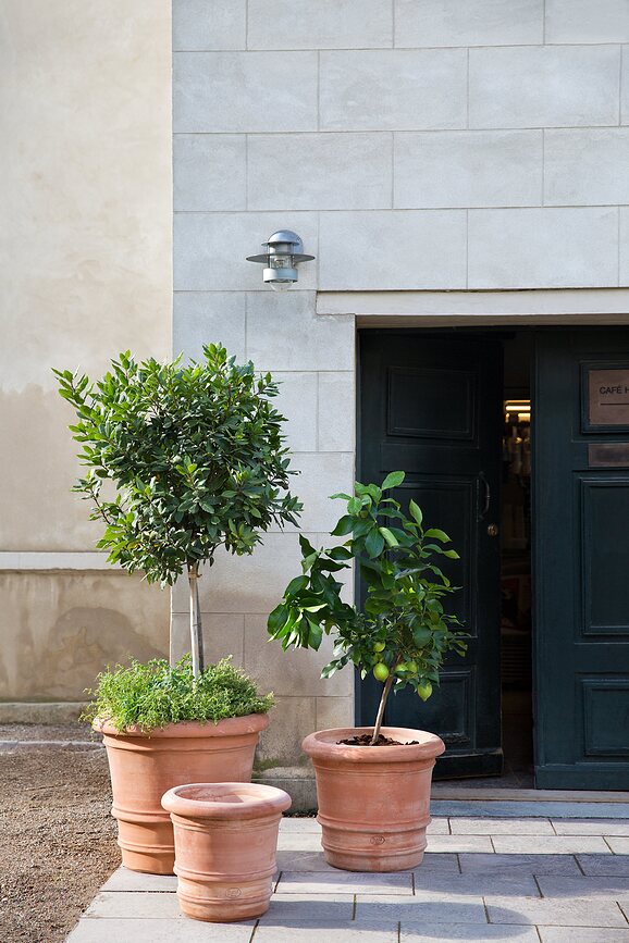 Maceta para exterior Lucca, 40 cm, rosa