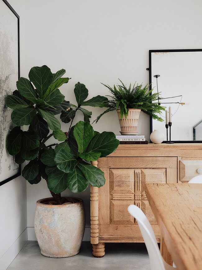 Pantheon Γλάστρα με πιατάκι, 12 εκ., ροζ