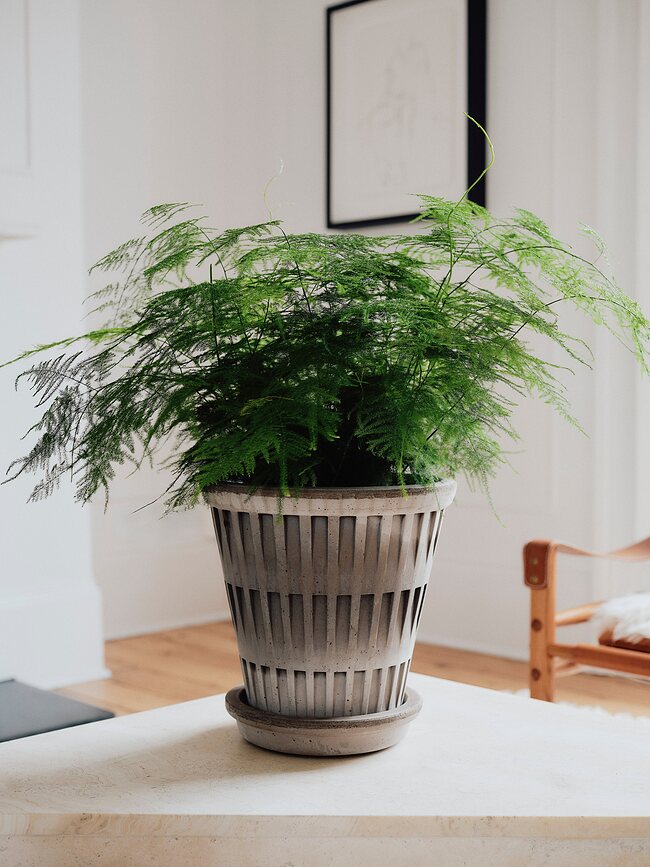 Pantheon Lonček za rože s podstavkom, 12 cm, siv