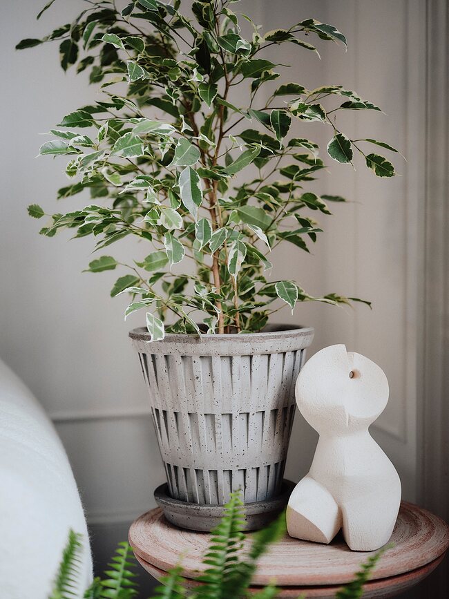 Pantheon Pot de Fleurs avec Soucoupe 12 cm, gris