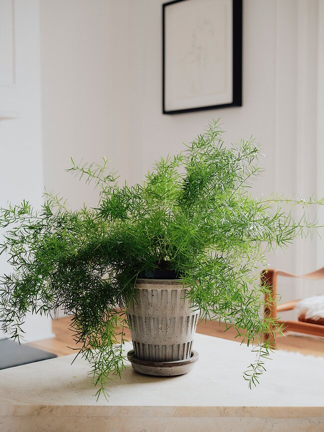 Pantheon Pot de Fleurs avec Soucoupe 12 cm, gris