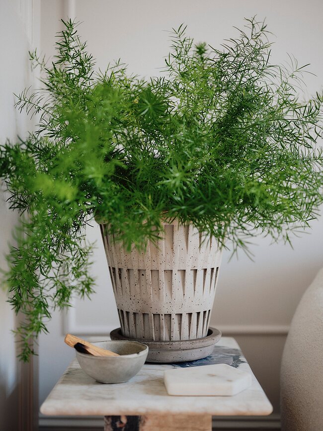 Pantheon Pot de Fleurs avec Soucoupe 12 cm, gris