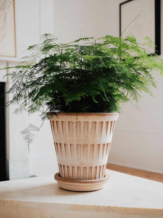 Pantheon Pot de Fleurs avec soucoupe, 14 cm, rose