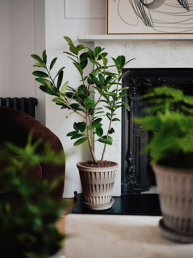 Pantheon Tegla s podloškom 12 cm siva