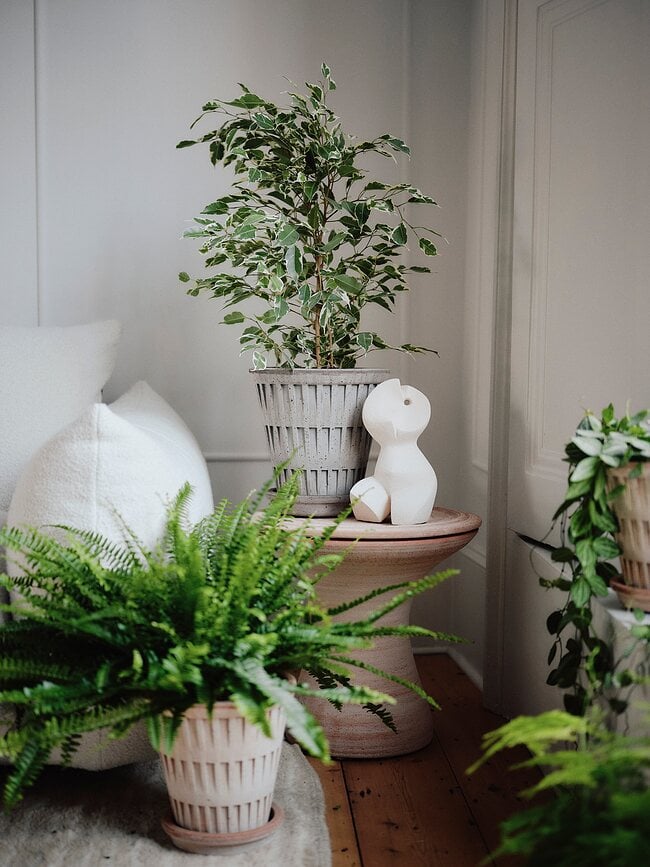 Pantheon Tegla s podloškom 12 cm siva