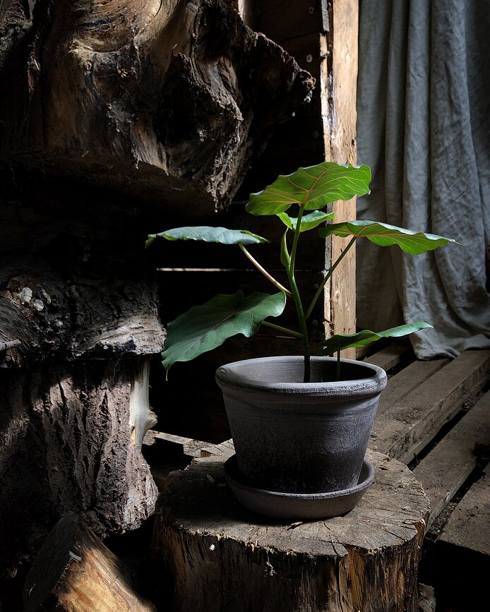 Parade Lonec s podstavkom, 15 cm, siv