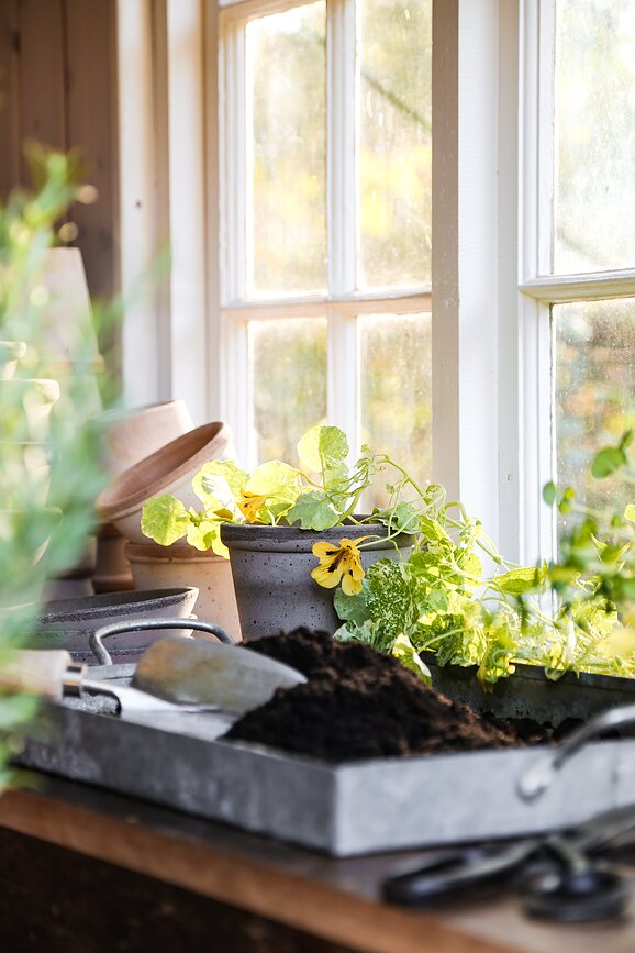 Parade Pot de Fleurs avec soucoupe, 15 cm, gris