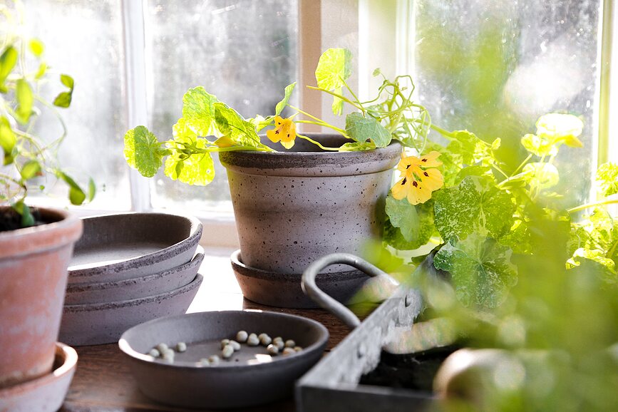 Parade Pot de Fleurs avec soucoupe, 15 cm, gris