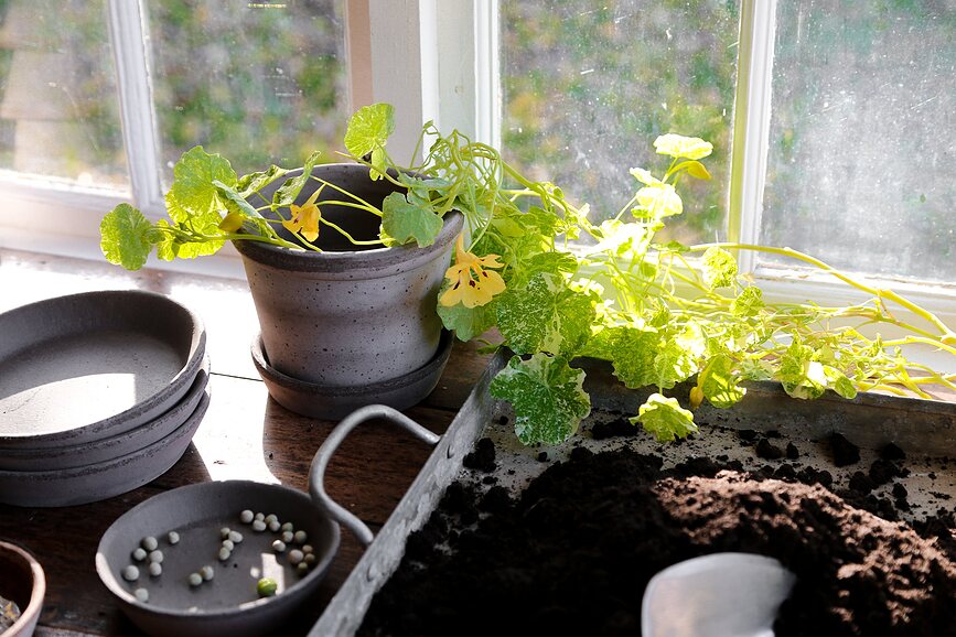 Parade Pot de Fleurs avec soucoupe, 15 cm, gris