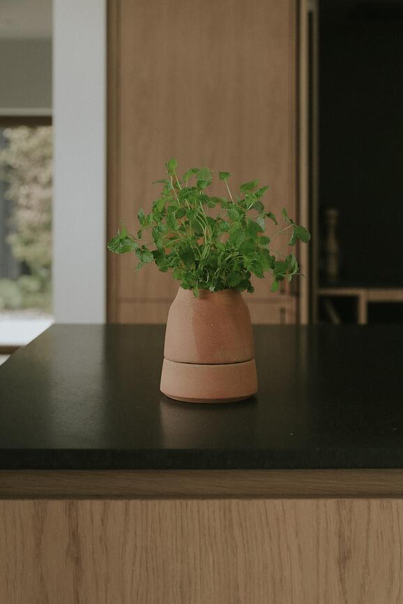 Pašlaistošs puķupods garšaugiem Viva 12 cm, rozā