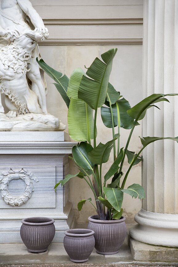 Piccolina Pot de Fleurs, gris