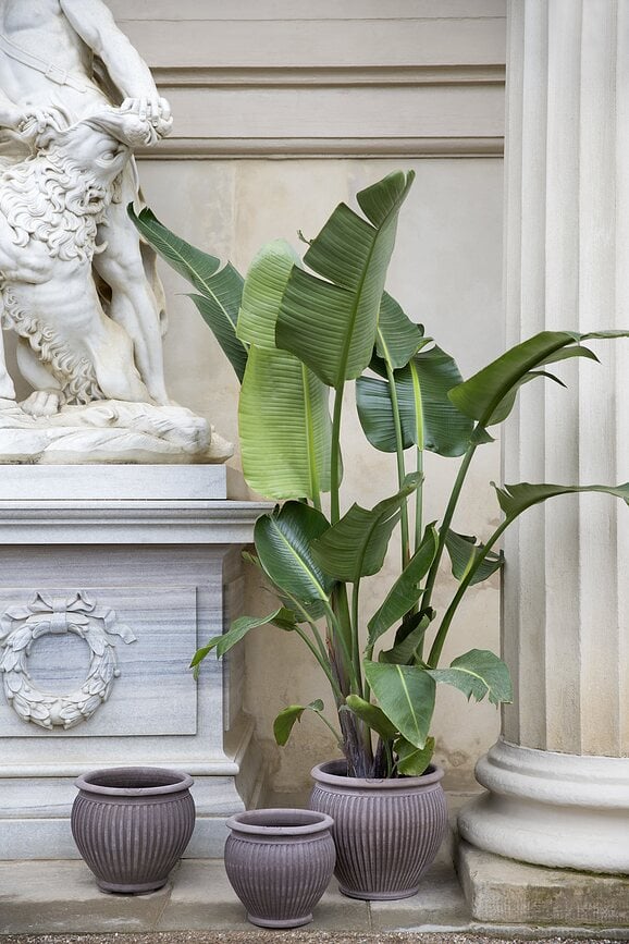 Piccolina Tegla vrtna 40 cm siva