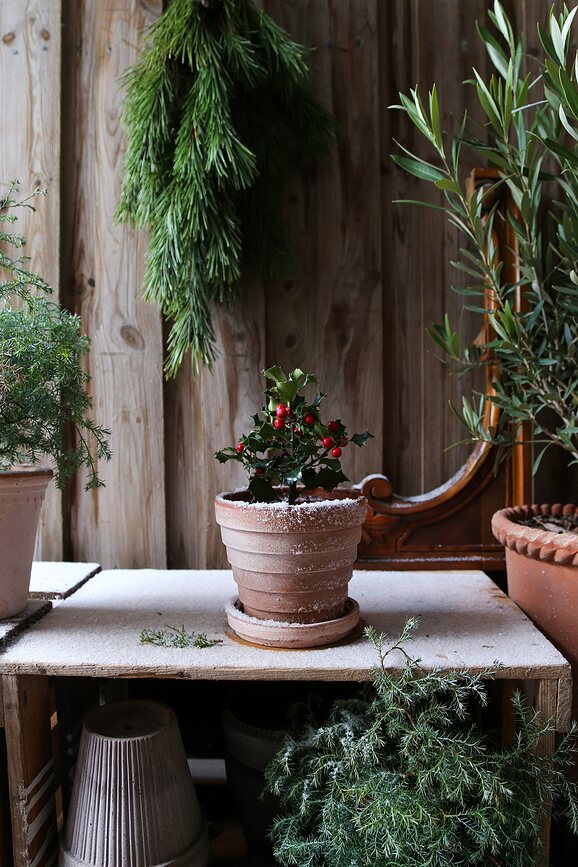 Planet Mars Pot de Fleurs avec soucoupe, 12 cm, rose