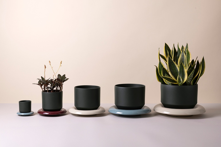 Plato para maceta Lily, 8 cm, burdeos