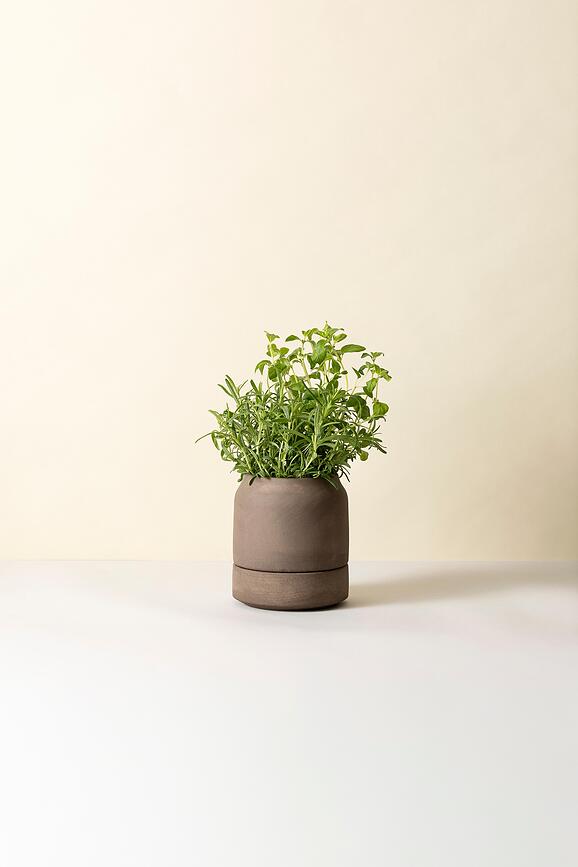 Savaiminis laistymo vazonas žolelėms Viva, 14 cm, pilkas
