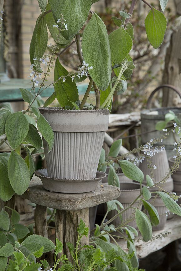 Simona Cvetlični lonec s podstavkom, 12 cm, sivi