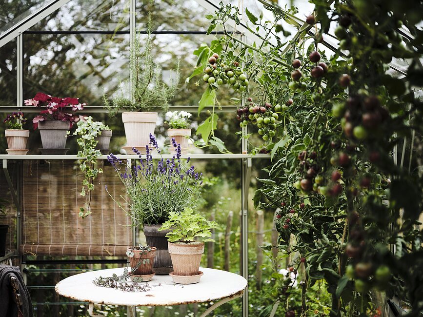 Simona Γλάστρα με πιατάκι, 12 cm, ροζ