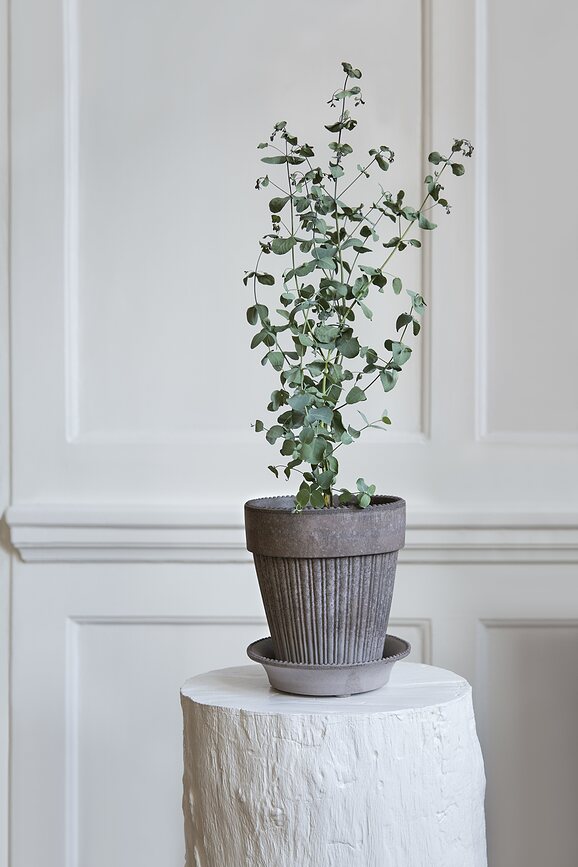 Simona Pot de Fleurs avec soucoupe, 18 cm, gris