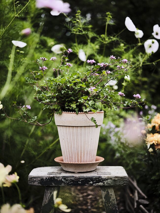 Simona Pot de Fleurs avec soucoupe, Ø 12 cm, rose