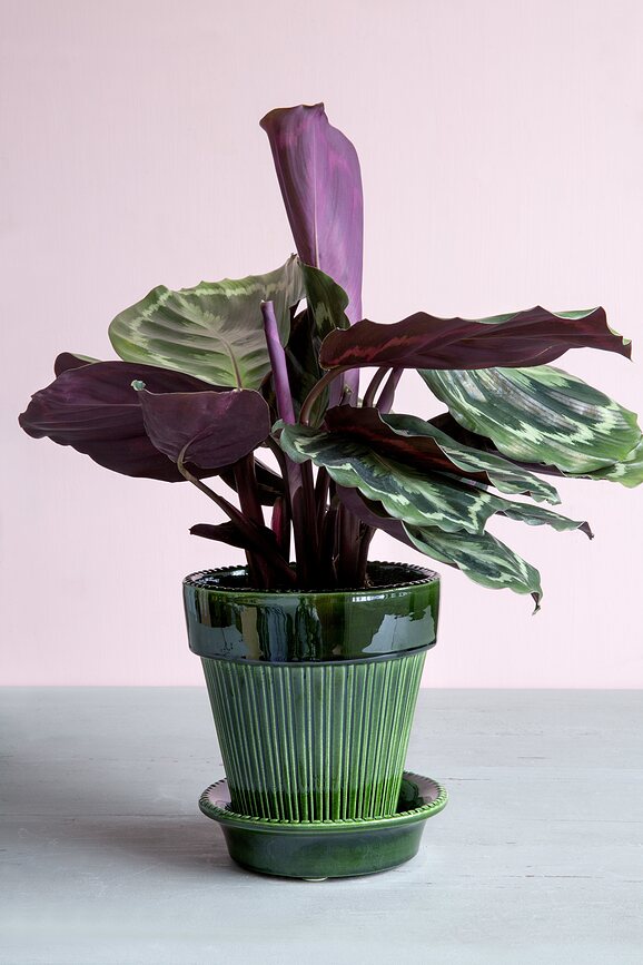 Simona Pot de Fleurs émaillé avec soucoupe, 12 cm, vert