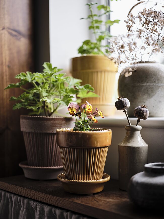 Simona Pot de Fleurs émaillé avec soucoupe, 16 cm, jaune