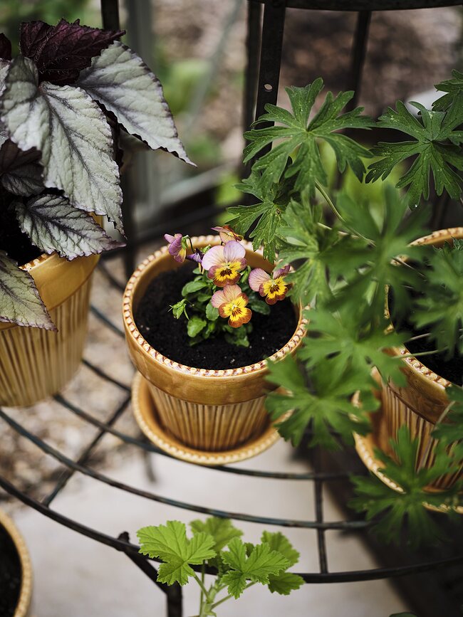 Simona Pot de Fleurs émaillé avec soucoupe, 16 cm, jaune