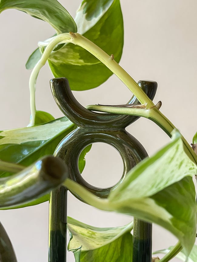 Soporte para plantas Oni, verde oscuro