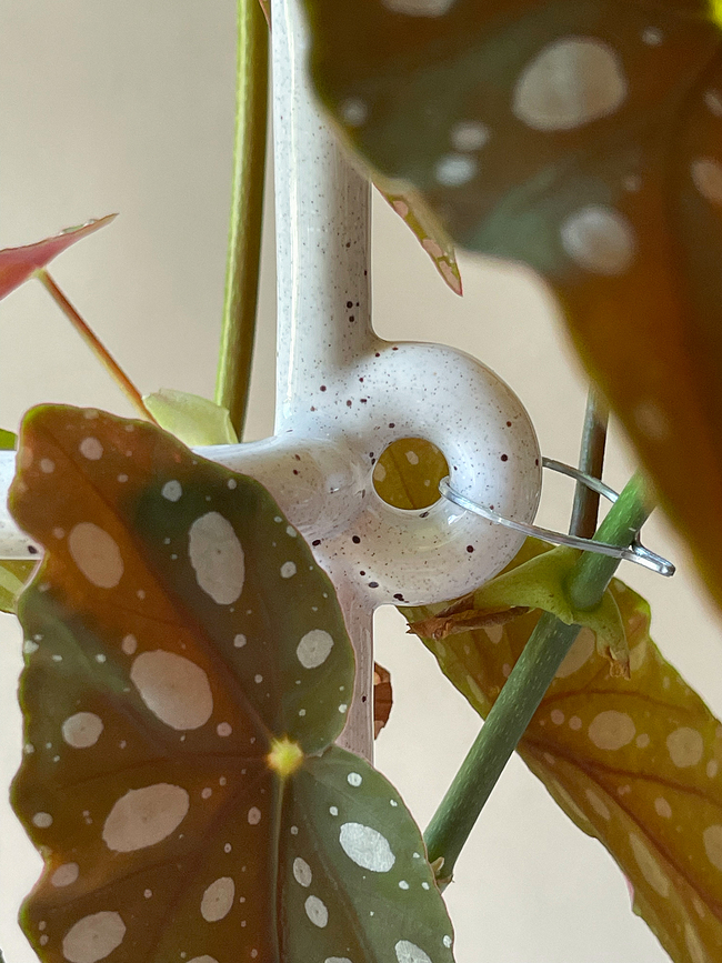 Tutor para plantas Hinto, verde oscuro