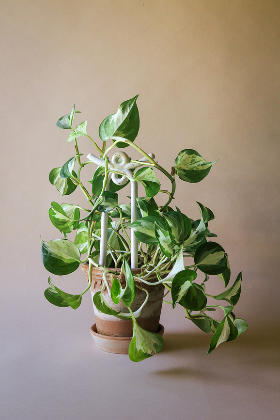 Tutor para Plantas Yuma, blanco