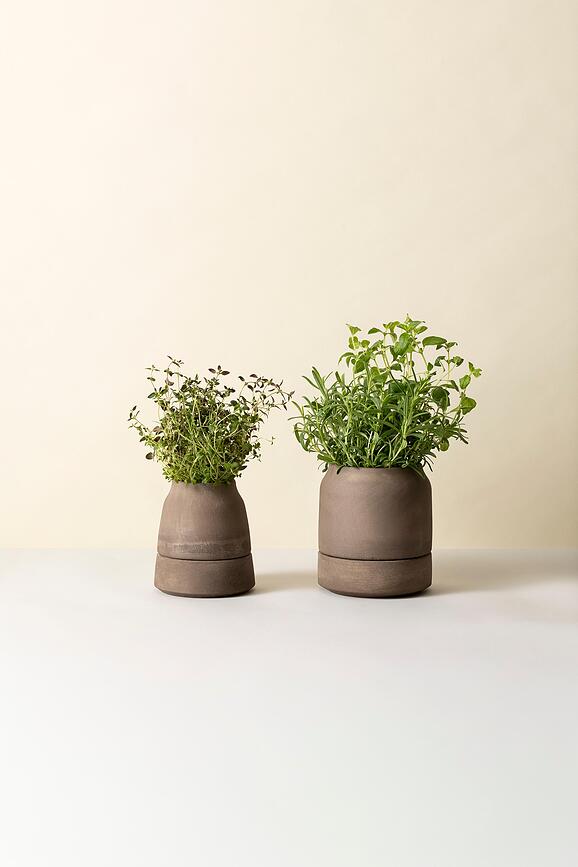 Viva Selbstbewässernder Kräutertopf 14 cm, grau