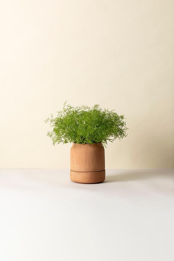 Viva zelfwatergevende kruidenpot 12 cm, roze