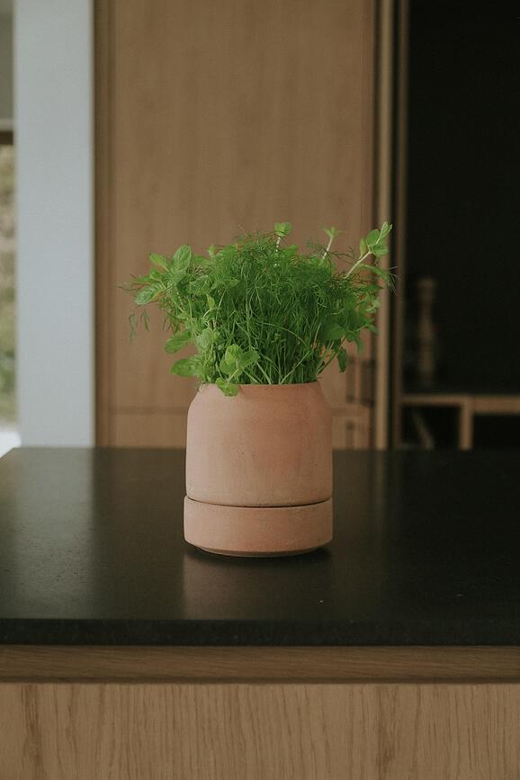 Viva zelfwatergevende kruidenpot 12 cm, roze