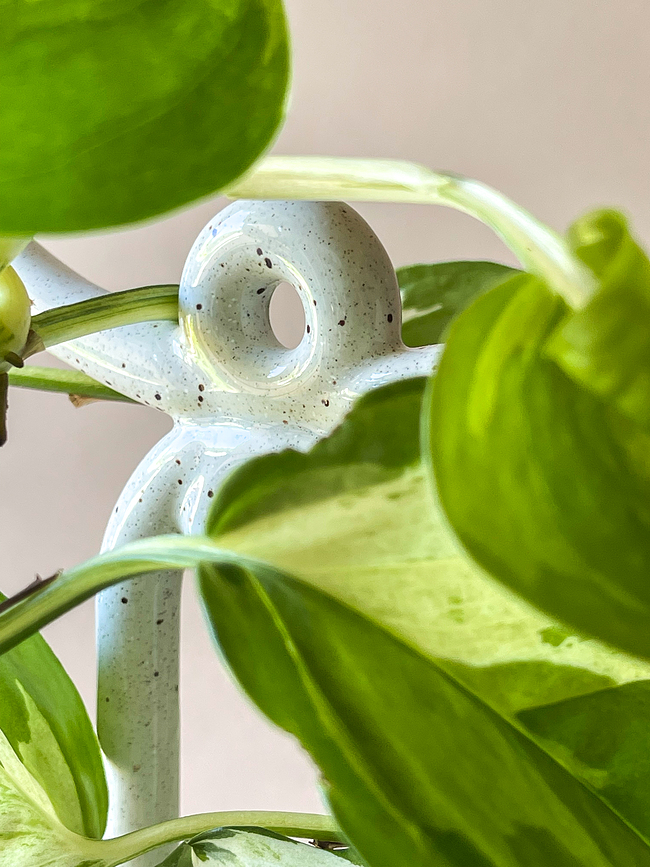 Yuma Support pour Plantes, vert foncé