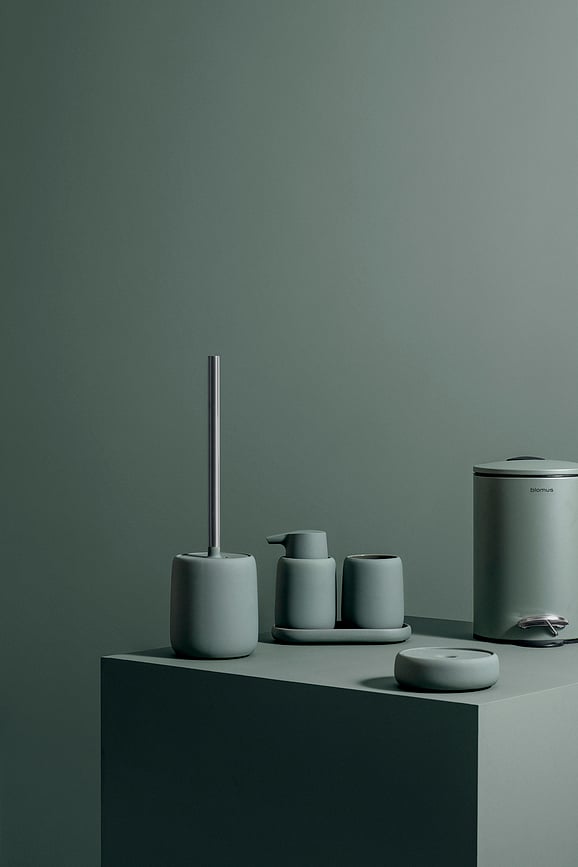 Escobillero Sono, moonbeam