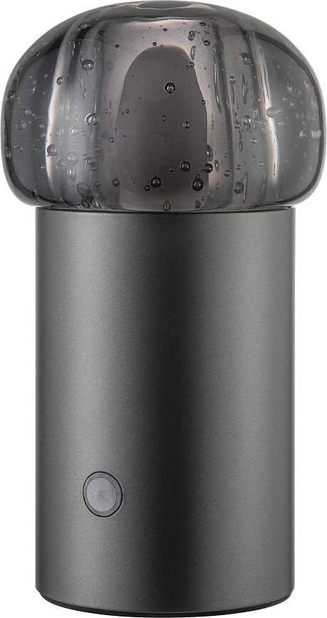 Iris Lampe sans fil, métallique