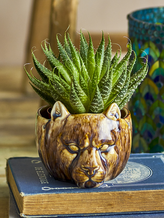 Abner Cache-pot 9,5 cm, marron