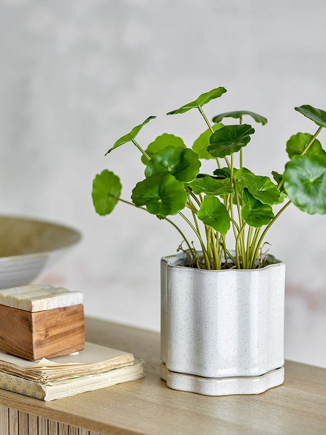 Argyle Pot de Fleurs avec soucoupe, gris