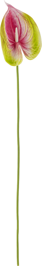 Bloomingville Fleur Artificielle Anthurium