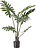 Bloomingville Konstgjord Växt Philodendron, L
