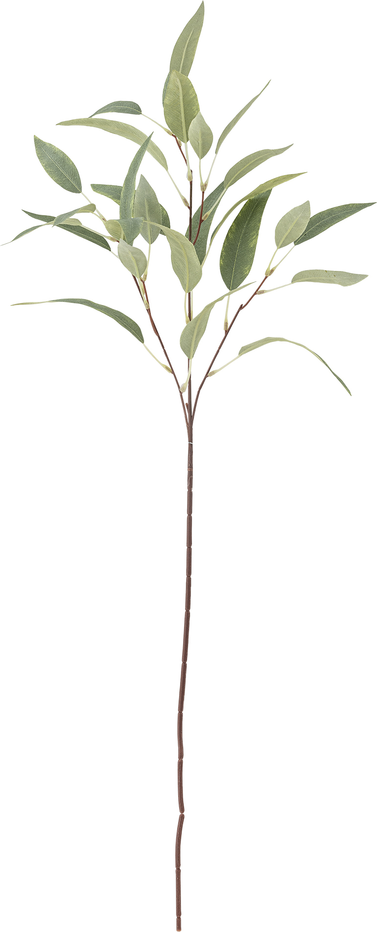 Bloomingville Kunstblume 18 x 85 cm Eukalyptus grün