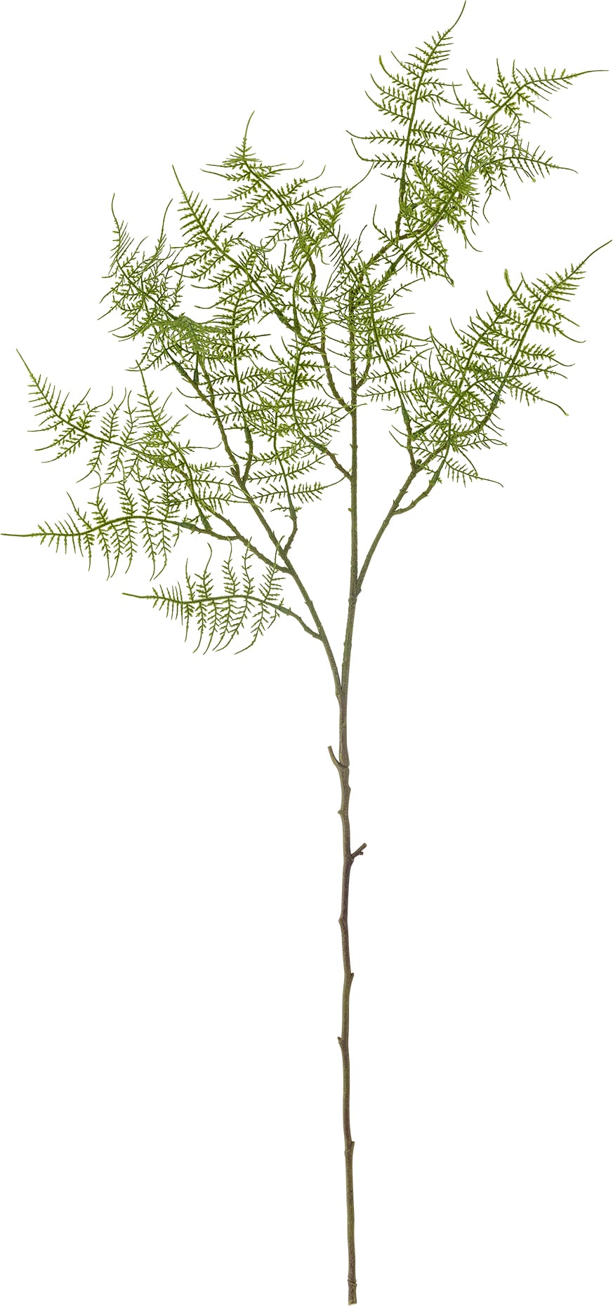Bloomingville Kunstblume 89 cm Farn