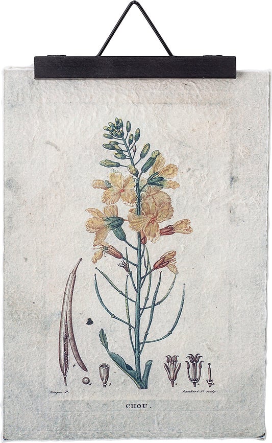 Bloomingville Obešalnik za plakate, 19 cm, lesen