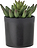 Bloomingville Plante Artificielle Echeveria en pot, Taille S